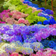 ヒメ日記 2025/05/27 13:45 投稿 さゆり 奥鉄オクテツ神奈川店（デリヘル市場グループ）