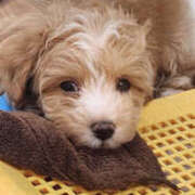 ヒメ日記 2025/06/19 09:55 投稿 さゆり 奥鉄オクテツ神奈川店（デリヘル市場グループ）