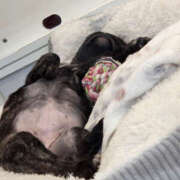 ヒメ日記 2025/07/10 13:45 投稿 さゆり 奥鉄オクテツ神奈川店（デリヘル市場グループ）