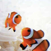 ヒメ日記 2025/11/14 08:05 投稿 さゆり 奥鉄オクテツ神奈川店（デリヘル市場グループ）