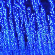 ヒメ日記 2025/11/17 19:00 投稿 さゆり 奥鉄オクテツ神奈川店（デリヘル市場グループ）