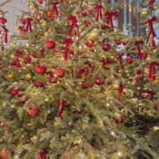 ヒメ日記 2025/12/25 15:25 投稿 さゆり 奥鉄オクテツ神奈川店（デリヘル市場グループ）