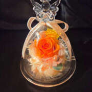 ヒメ日記 2026/01/15 11:05 投稿 さゆり 奥鉄オクテツ神奈川店（デリヘル市場グループ）