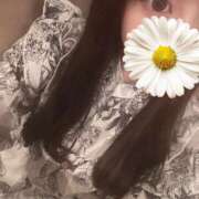 ヒメ日記 2025/05/06 13:15 投稿 えれな☆理性崩壊Fカップ☆ アネキャンモード