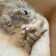 ヒメ日記 2025/11/08 23:09 投稿 えれな☆理性崩壊Fカップ☆ アネキャンモード