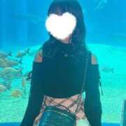 ヒメ日記 2025/09/17 22:58 投稿 日向 みく 京都ホットポイント