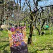 日向 みく きらきら 京都ホットポイント