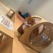 ヒメ日記 2025/09/24 18:24 投稿 ありさ でりどす