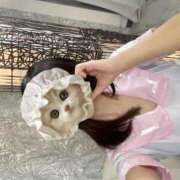 ヒメ日記 2025/04/06 15:55 投稿 あげは BIKINISPA「真」-ビキニスパ-