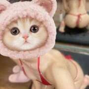 ヒメ日記 2025/04/28 20:25 投稿 あげは BIKINISPA「真」-ビキニスパ-