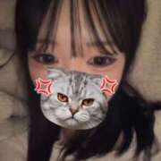 ヒメ日記 2026/03/12 23:55 投稿 あげは BIKINISPA「真」-ビキニスパ-