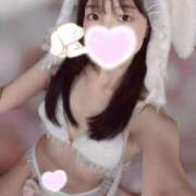 ヒメ日記 2025/04/13 20:19 投稿 美琴【新人】 Minx（ミンクス）