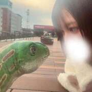 ヒメ日記 2025/11/21 05:20 投稿 みおん（動画撮影OＫ） OKINI Tokyo in 蒲田