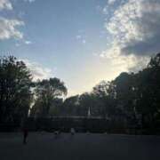 ヒメ日記 2025/05/15 01:46 投稿 プリン マテリアル