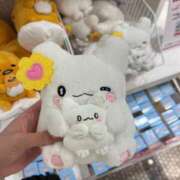 ヒメ日記 2025/05/20 12:16 投稿 プリン マテリアル