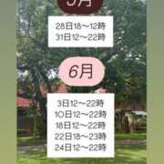 ヒメ日記 2025/05/27 01:31 投稿 プリン マテリアル