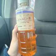 ヒメ日記 2025/05/31 17:01 投稿 プリン マテリアル