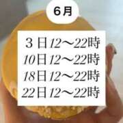 ヒメ日記 2025/06/01 06:01 投稿 プリン マテリアル