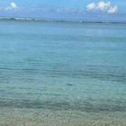 ヒメ日記 2025/06/04 11:01 投稿 プリン マテリアル