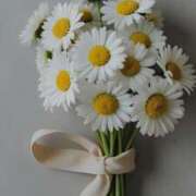 ヒメ日記 2025/06/10 15:46 投稿 プリン マテリアル