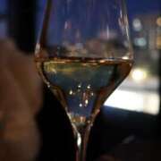 ヒメ日記 2025/06/23 23:16 投稿 プリン マテリアル