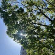 ヒメ日記 2025/07/06 04:16 投稿 プリン マテリアル