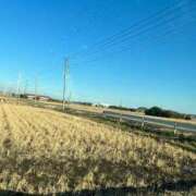 ヒメ日記 2025/07/19 08:46 投稿 プリン マテリアル