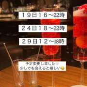 ヒメ日記 2025/08/04 10:01 投稿 プリン マテリアル