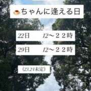 ヒメ日記 2025/10/09 09:01 投稿 プリン マテリアル