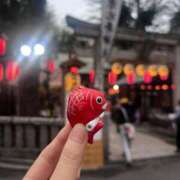 ヒメ日記 2025/10/26 19:16 投稿 プリン マテリアル