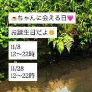 ヒメ日記 2025/11/02 16:16 投稿 プリン マテリアル