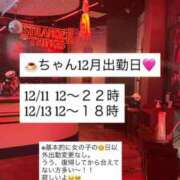 ヒメ日記 2025/11/24 11:16 投稿 プリン マテリアル