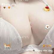 ヒメ日記 2025/12/14 21:16 投稿 プリン マテリアル