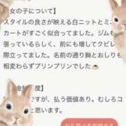 ヒメ日記 2025/12/19 11:46 投稿 プリン マテリアル