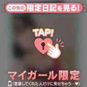 ヒメ日記 2025/12/23 14:31 投稿 プリン マテリアル