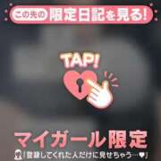 ヒメ日記 2025/12/27 12:01 投稿 プリン マテリアル