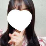 ヒメ日記 2026/02/04 15:31 投稿 プリン マテリアル