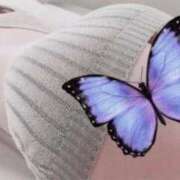 ヒメ日記 2025/09/26 13:08 投稿 ゆうな 福島♂風俗の神様 郡山店