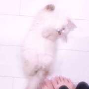 ヒメ日記 2025/06/01 01:22 投稿 まう【 一瞬で虜になっちゃう可愛さ】 STAR-スター-