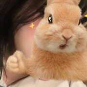 ヒメ日記 2025/06/15 23:31 投稿 まき【FG系列】 ハンドdeフィーリングin横浜（FG系列）