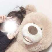 ヒメ日記 2025/04/12 08:24 投稿 にな ふわふわコレクション