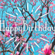 ヒメ日記 2026/01/20 07:00 投稿 椎名（しいな） ユカノモリ