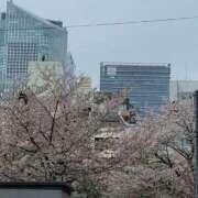 ヒメ日記 2026/04/06 19:06 投稿 まなみ 花夫人