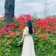 ヒメ日記 2025/10/09 21:06 投稿 らん チェリー