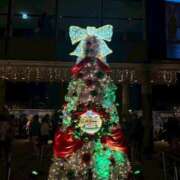 ヒメ日記 2025/12/02 12:04 投稿 らん チェリー