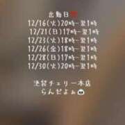 ヒメ日記 2025/12/15 21:39 投稿 らん チェリー