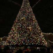 ヒメ日記 2025/12/23 20:15 投稿 らん チェリー