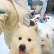 ヒメ日記 2026/02/05 18:06 投稿 らん チェリー