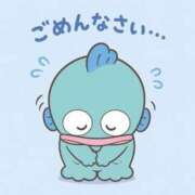 ヒメ日記 2026/07/24 15:01 投稿 てぃあら プレミアム(福原)