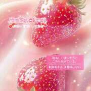 ヒメ日記 2025/06/19 11:34 投稿 めぐ 福島美女図鑑